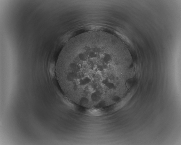X0000114210189200910161255