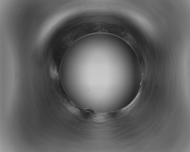 X0000114210191200910161255