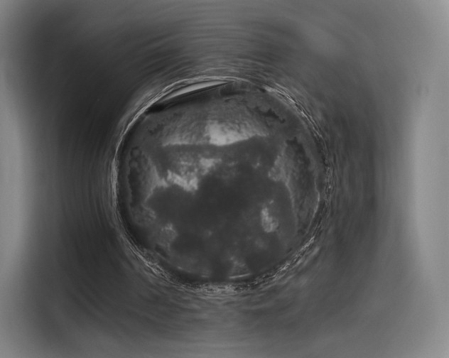 X0000114210194200910161254