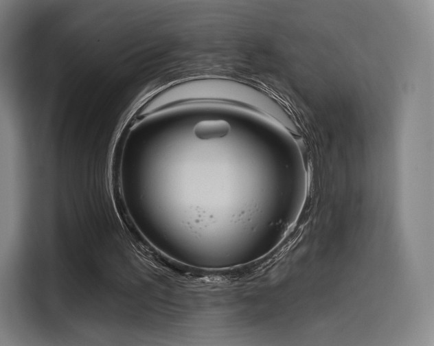 X0000114210195200910161254