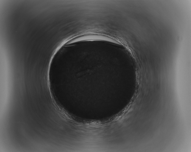 X0000114210196200910161254