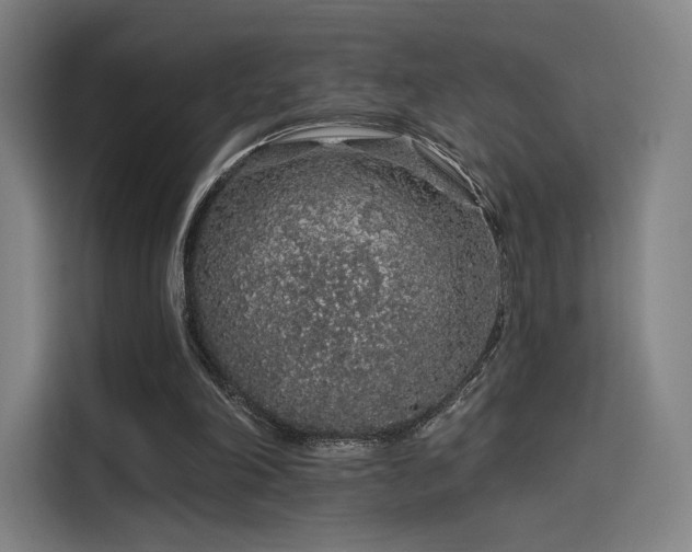 X0000114210198200910161254