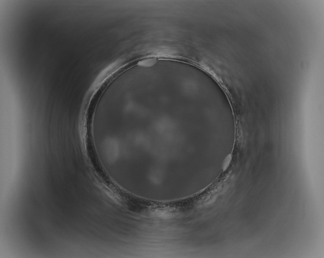 X0000114210199200910161254
