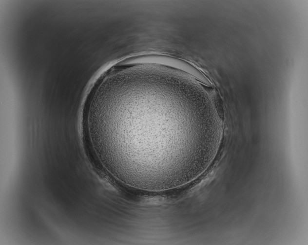X0000114210200200910161254