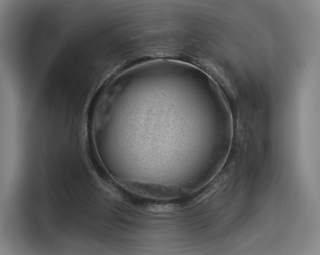 X0000114210202200910161254