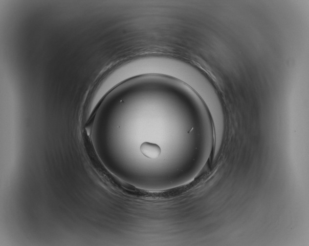 X0000114210203200910161254