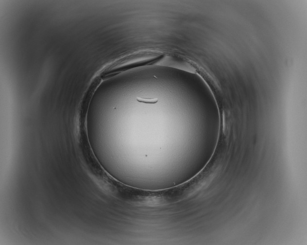 X0000114210204200910161254