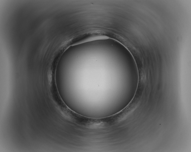 X0000114210206200910161254