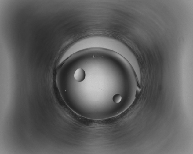 X0000114210207200910161254