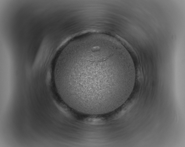 X0000114210208200910161254