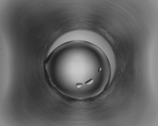 X0000114210209200910161254