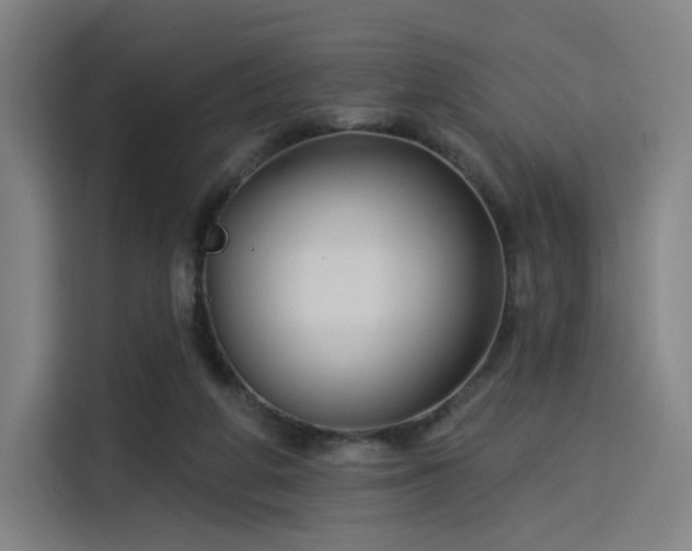 X0000114210210200910161254
