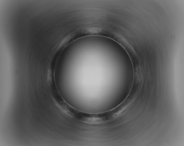 X0000114210212200910161254