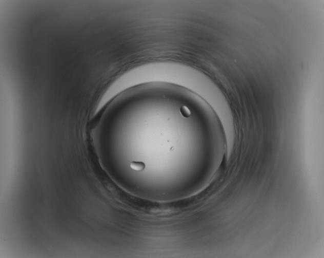 X0000114210213200910161254