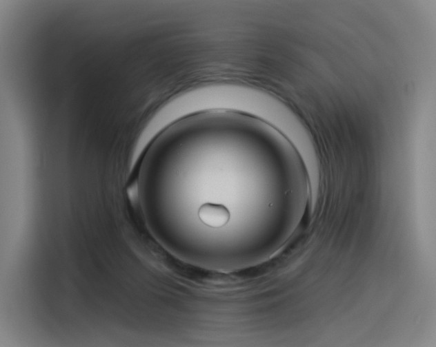 X0000114210215200910161254