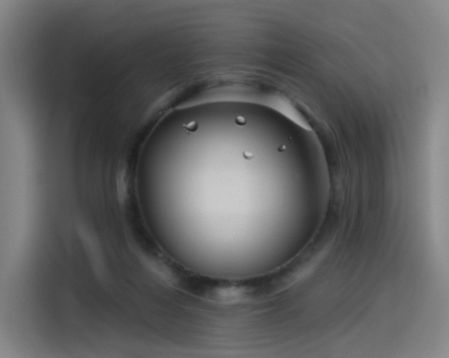 X0000114210216200910161254