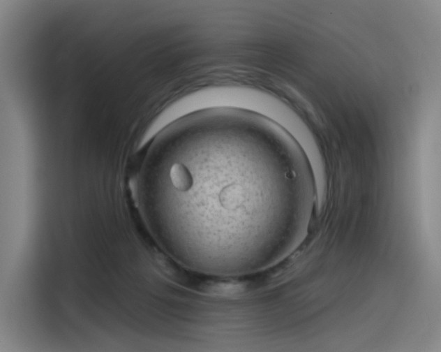 X0000114210217200910161254