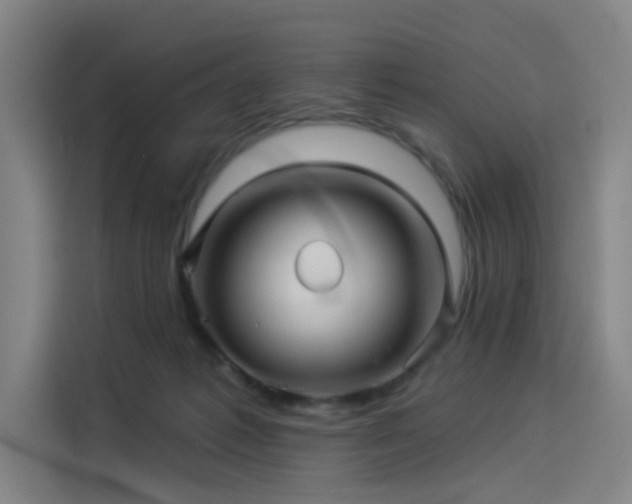 X0000114210221200910161254