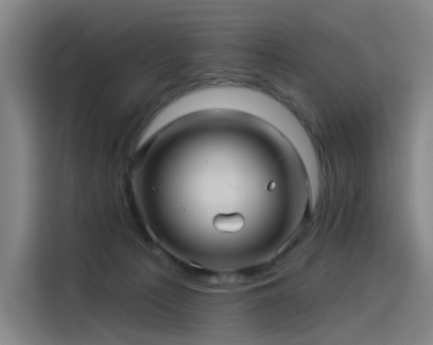 X0000114210225200910161254
