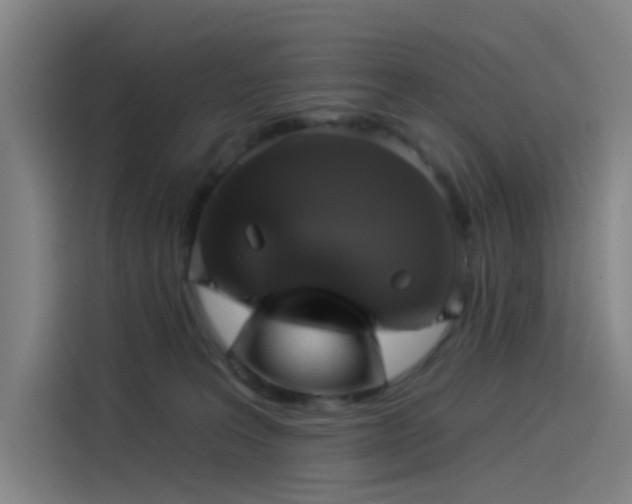 X0000114210227200910161254