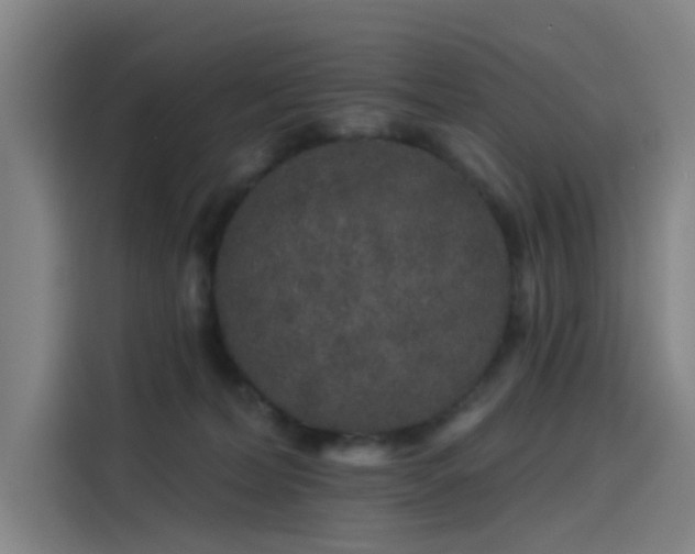 X0000114210228200910161254
