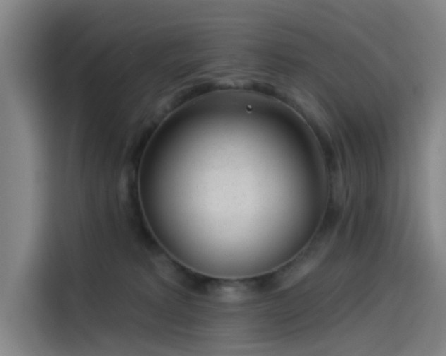 X0000114210229200910161254
