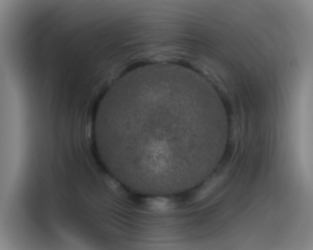X0000114210230200910161254