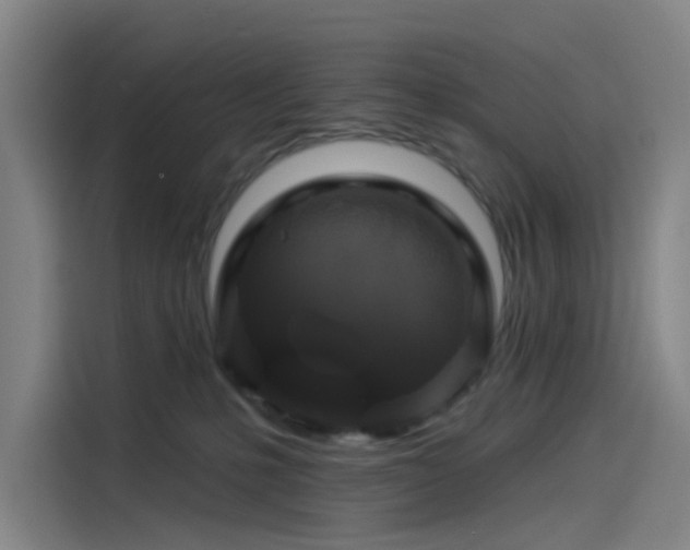 X0000114210231200910161254