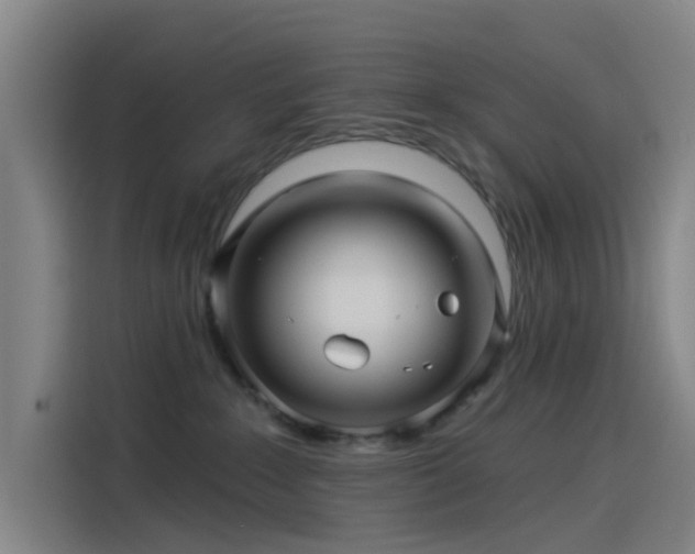 X0000114210235200910161254