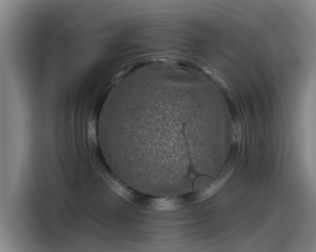 X0000114210238200910161254