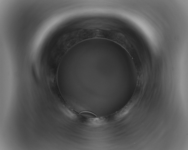 X0000114210239200910161254