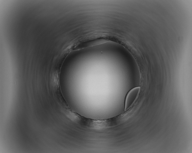 X0000114210240200910161254