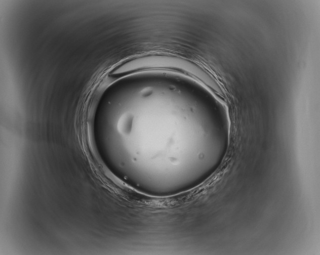 X0000114210241200910161253