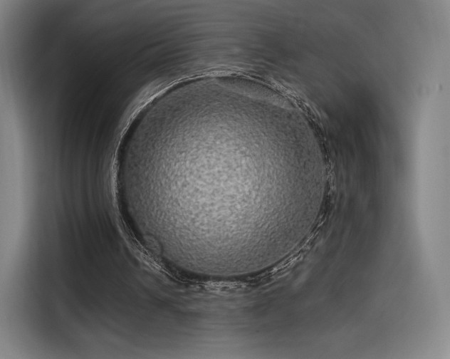 X0000114210242200910161253