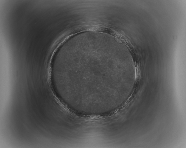 X0000114210243200910161253