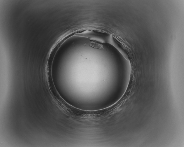 X0000114210244200910161253