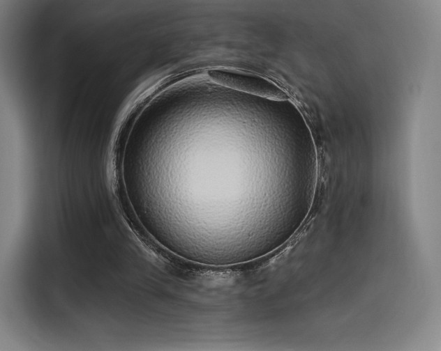X0000114210245200910161253