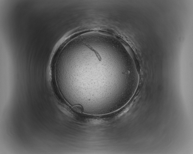 X0000114210246200910161253