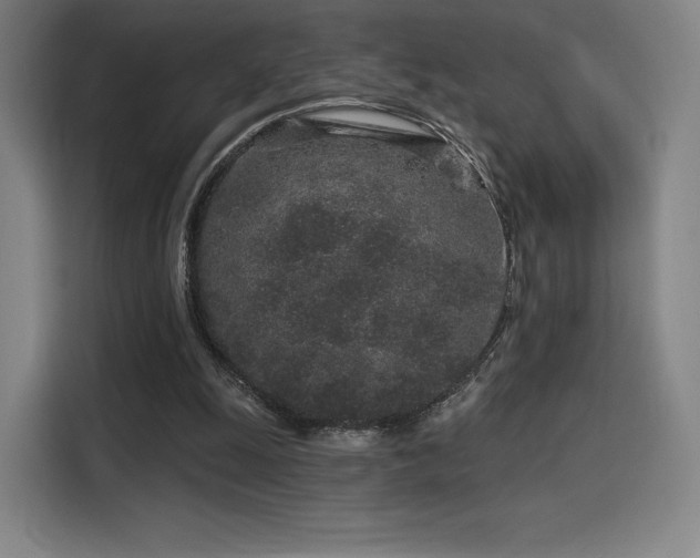 X0000114210247200910161253