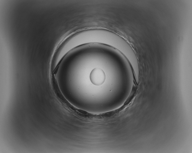 X0000114210248200910161253