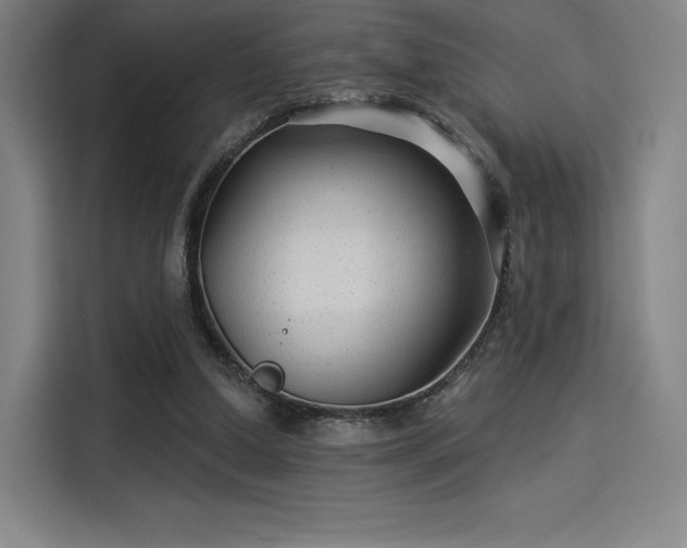 X0000114210250200910161253