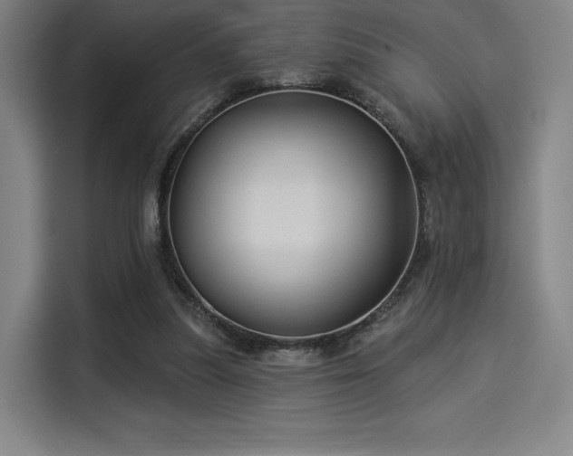 X0000114210251200910161253