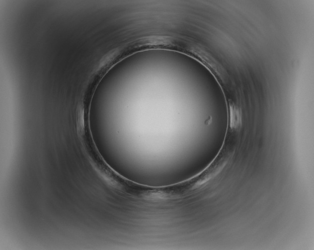 X0000114210253200910161253