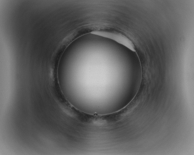 X0000114210258200910161253