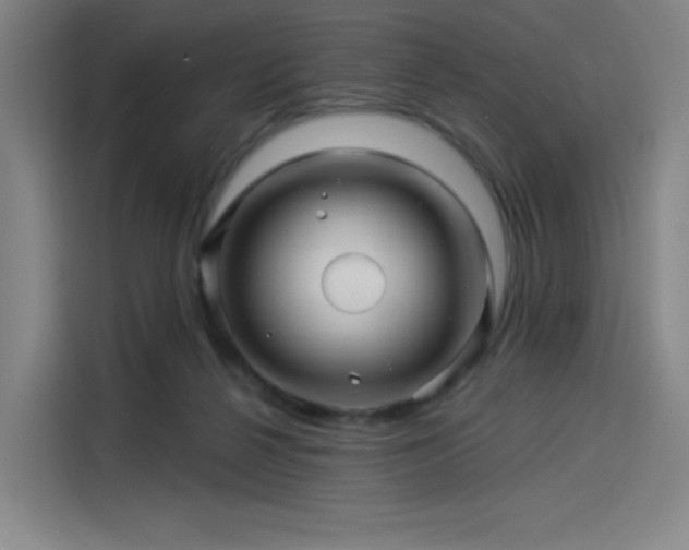 X0000114210264200910161253