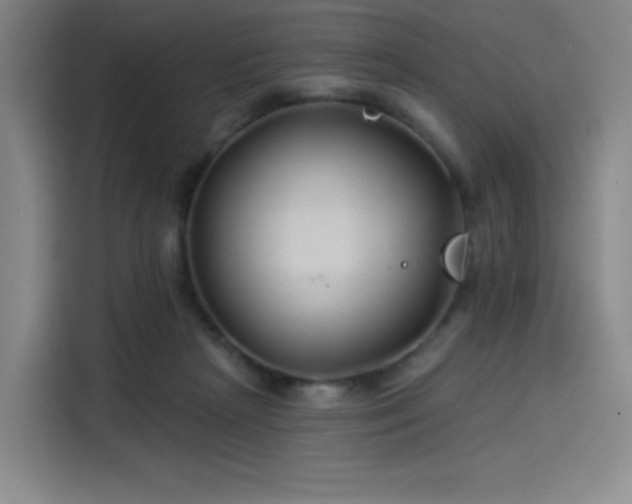 X0000114210265200910161253