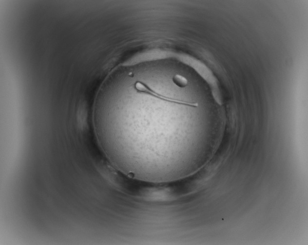 X0000114210266200910161253