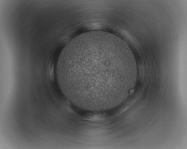 X0000114210267200910161253