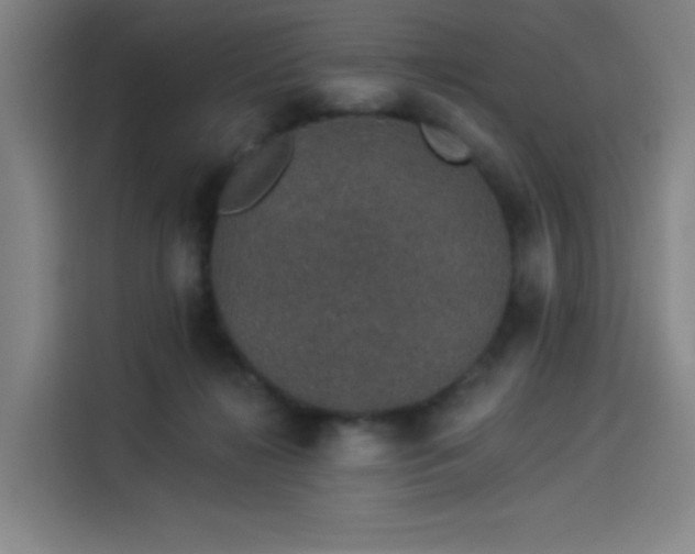 X0000114210268200910161253
