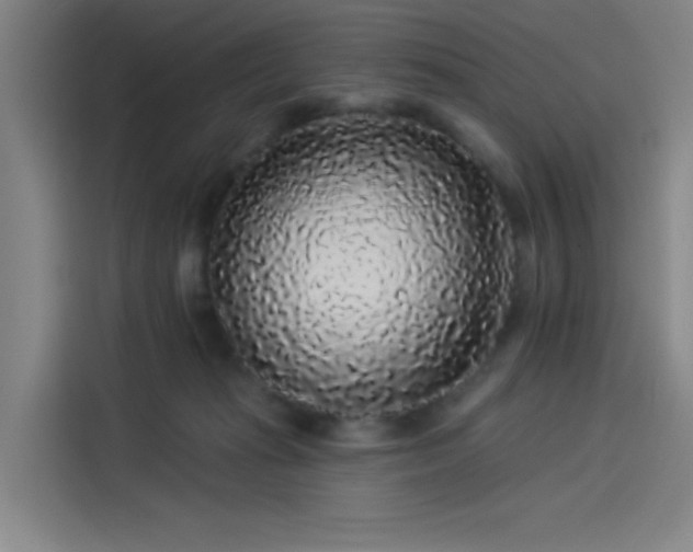 X0000114210269200910161253